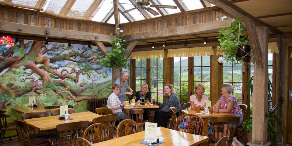 The Yellow Deli Honiton Yellow Deli Honiton the-yellow-deli-honiton-yellow-deli-honiton
